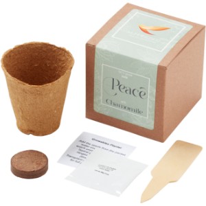 Grow Some Peace Chamomile Planter in Kraft Gift Box - JN1186