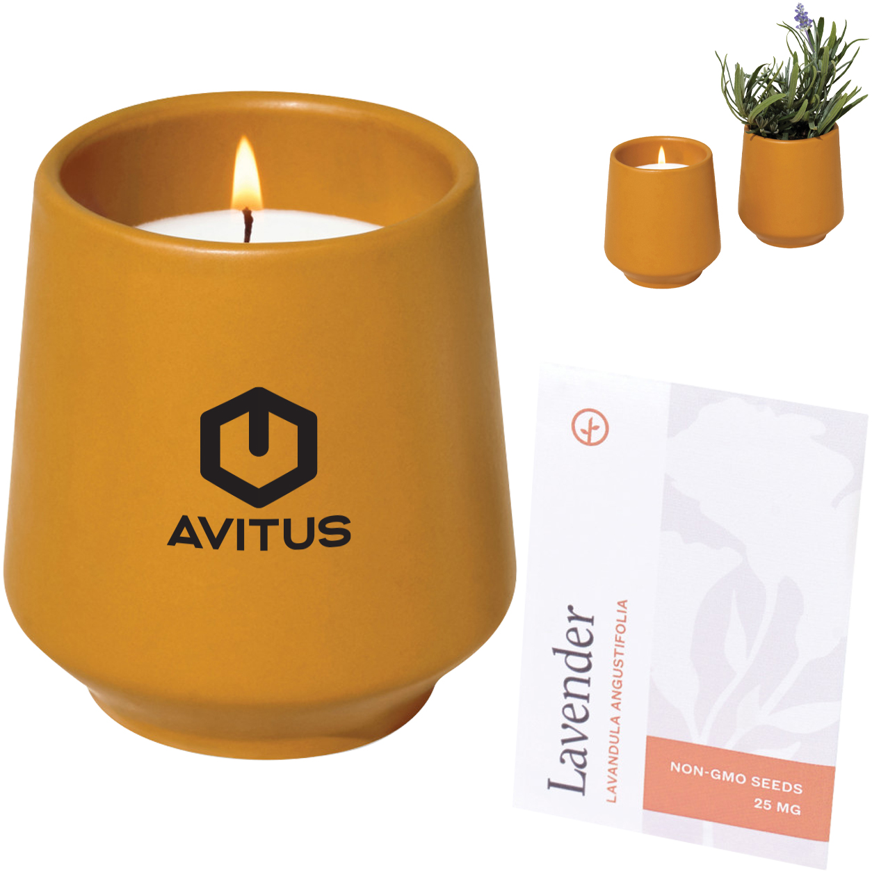 Product Photo 1 Modern Sprout® Rooted Candle - Lavender