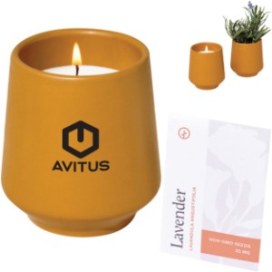 Modern Sprout® Rooted Candle - Lavender - GM1642