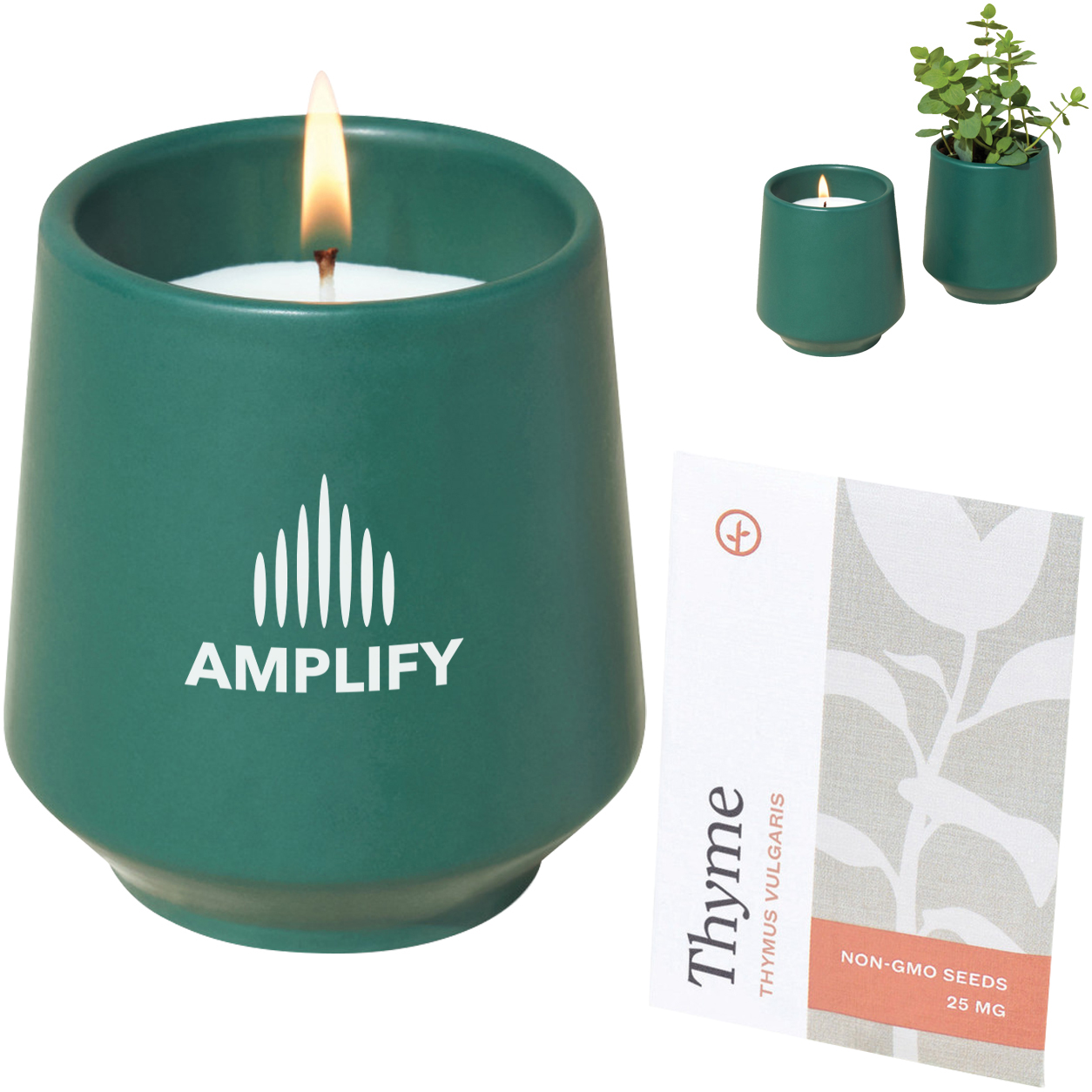 Product Photo 1 Modern Sprout® Rooted Candle - Thyme