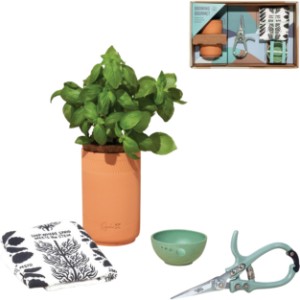 Modern Sprout® Growing Gourmet Gift Set - GM1645