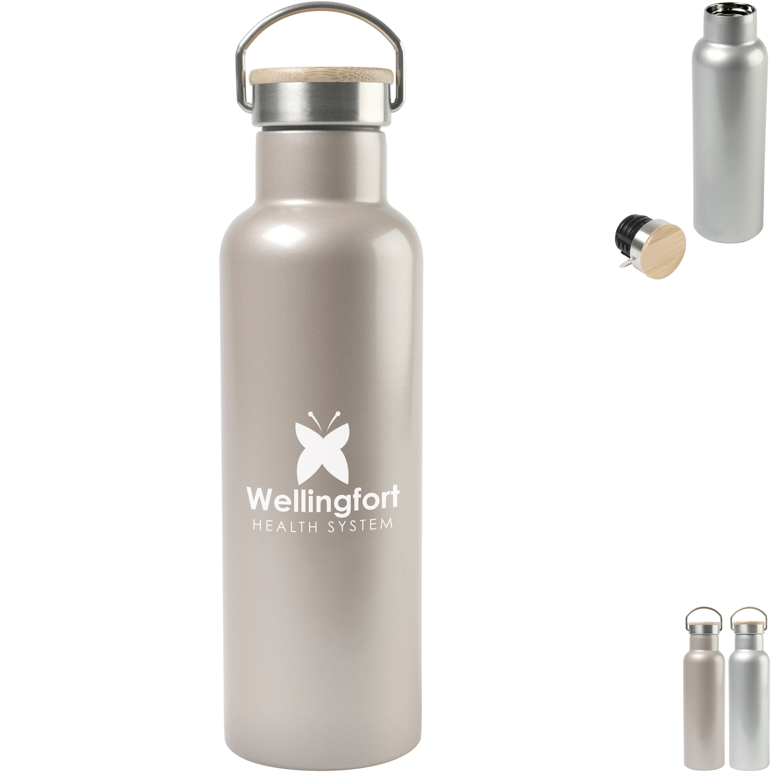 Product Photo 1 Aviana™ Metallics Double Wall Stainless Steel Bottle, 25oz.