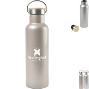 Aviana™ Metallics Double Wall Stainless Steel Bottle, 25oz. - GM1624