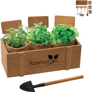 Terzetto Blossom Kit - IL7830