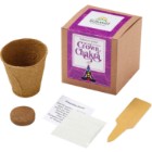 Photo 3 Crown Chakra Growables Planter in Kraft Gift Box w/ Label