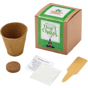 Heart Chakra Growables Planter in Kraft Gift Box w/ Label - JN1096