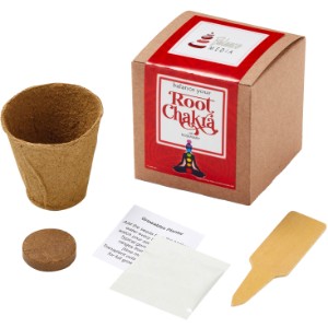 Root Chakra Growables Planter in Kraft Gift Box w/ Label - JN1097