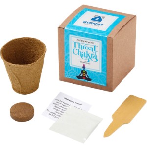 Throat Chakra Growables Planter in Kraft Gift Box w/ Label - JN1101