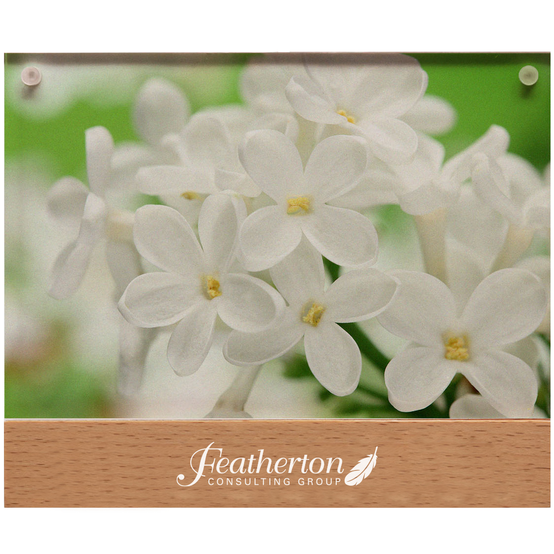 Product Photo 1 Wood & Acrylic Photo Frame, 4" x 6"