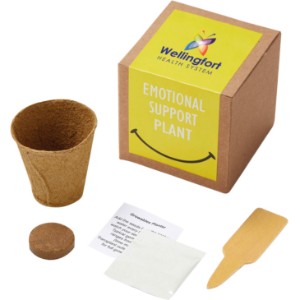 Inspirational Emotional Support Planter in Kraft Gift Box w/ Label - JN1109