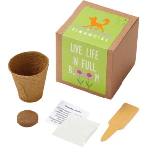 Inspirational Live Life in Full Bloom Planter in Kraft Gift Box w/ Label - JN1111