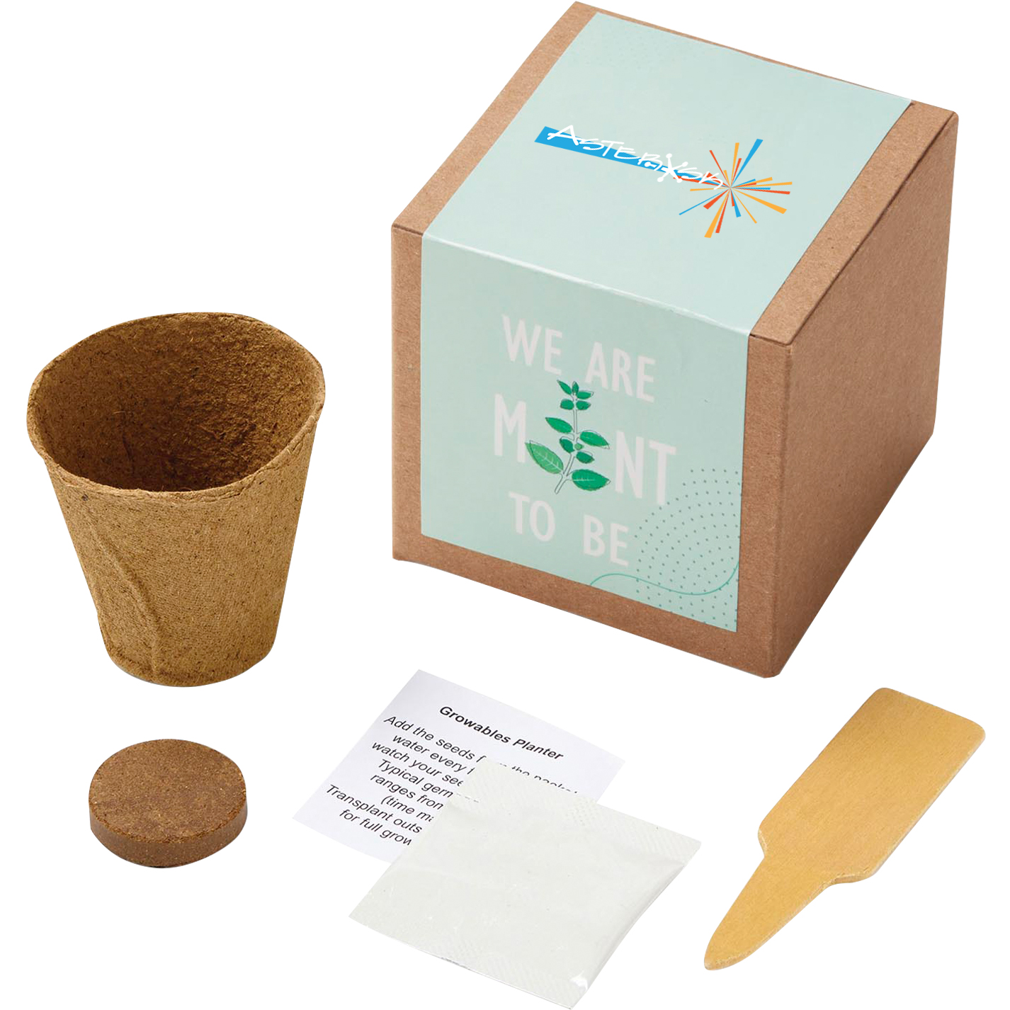 Product Photo 1 Inspirational Mint to Be Planter in Kraft Gift Box w/ Label