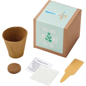 Inspirational Mint to Be Planter in Kraft Gift Box w/ Label - JN1112