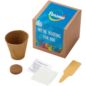 Inspirational Rooting For You Planter in Kraft Gift Box w/ Label - JN1113