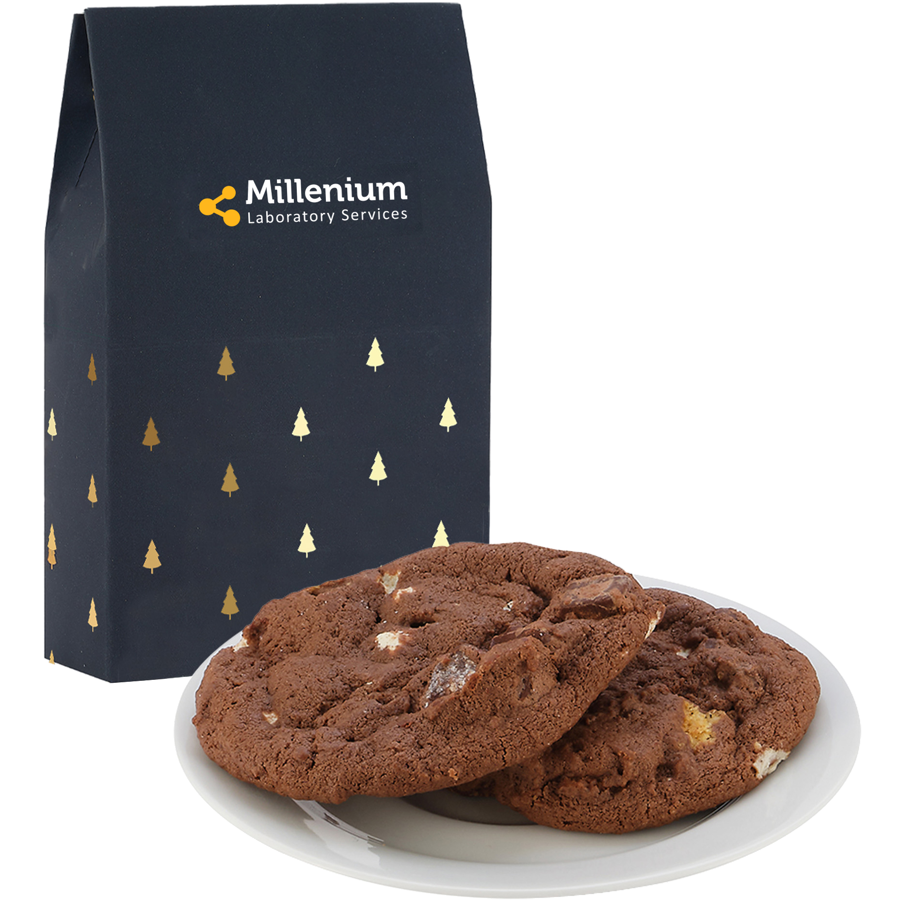 Product Photo 1 Milk Carton Box w/ 2 S'mores