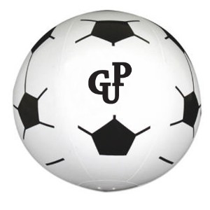 Sport Beach Ball - Soccer Ball, 16" - GX1540