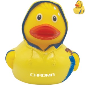 Bad Weather Rubber Duck - AF2498