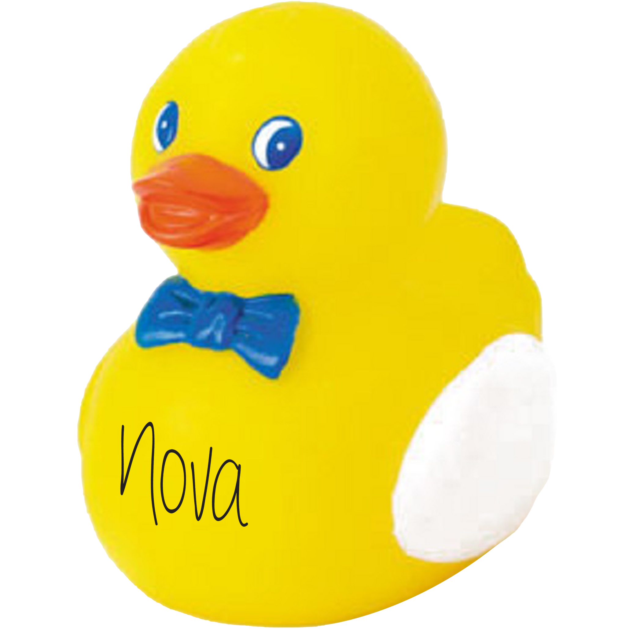 Product Photo 1 Professor Rubber Duck