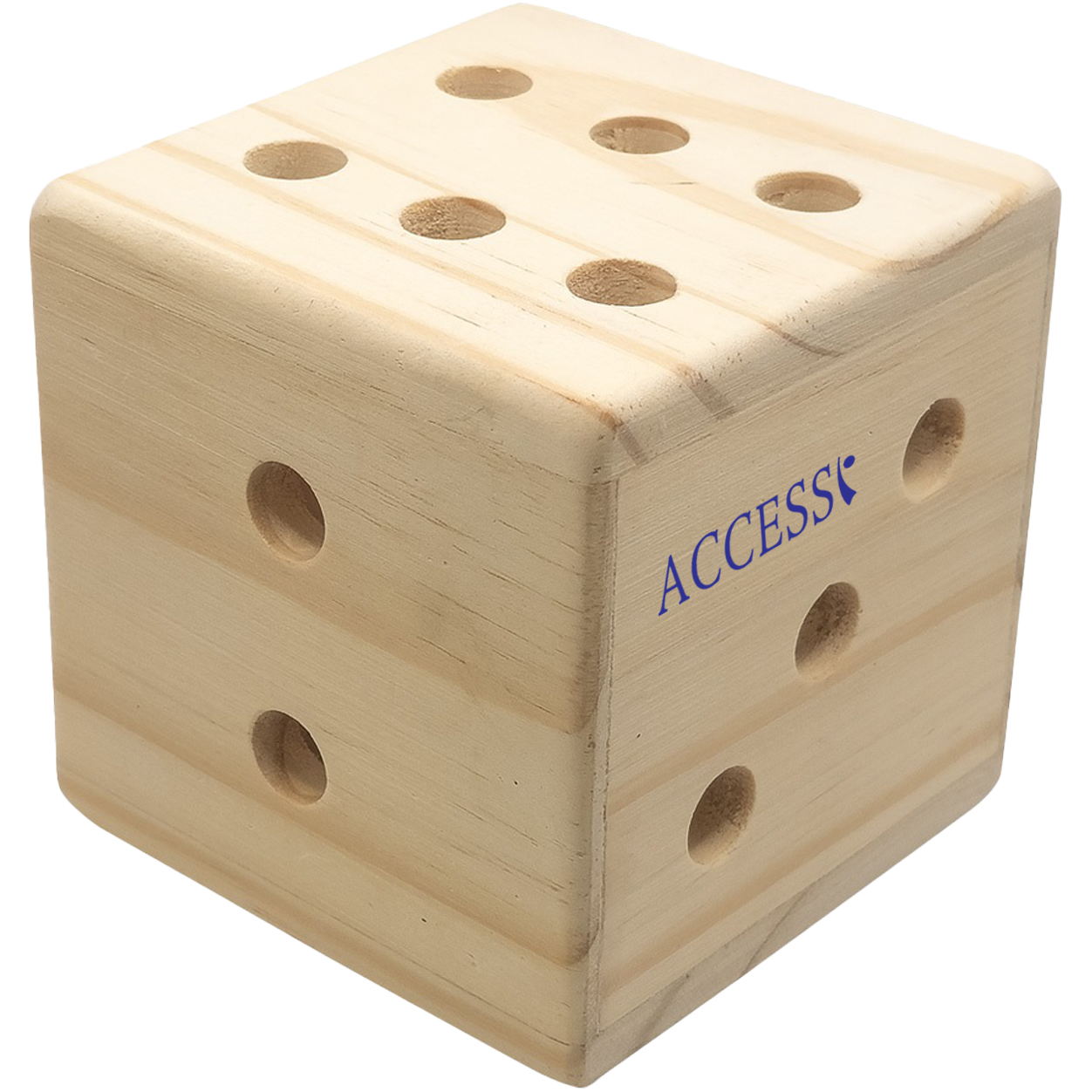 Product Photo 1 Giant Dice Pen Holder - CLOSEOUT!