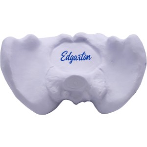 Hip Bone Stress Reliever - AF2522