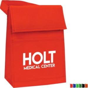 Non Woven Colored Lunch Pack - SB2531