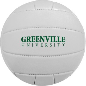Full Size Synthetic Leather Volleyball, 26" - GX4905