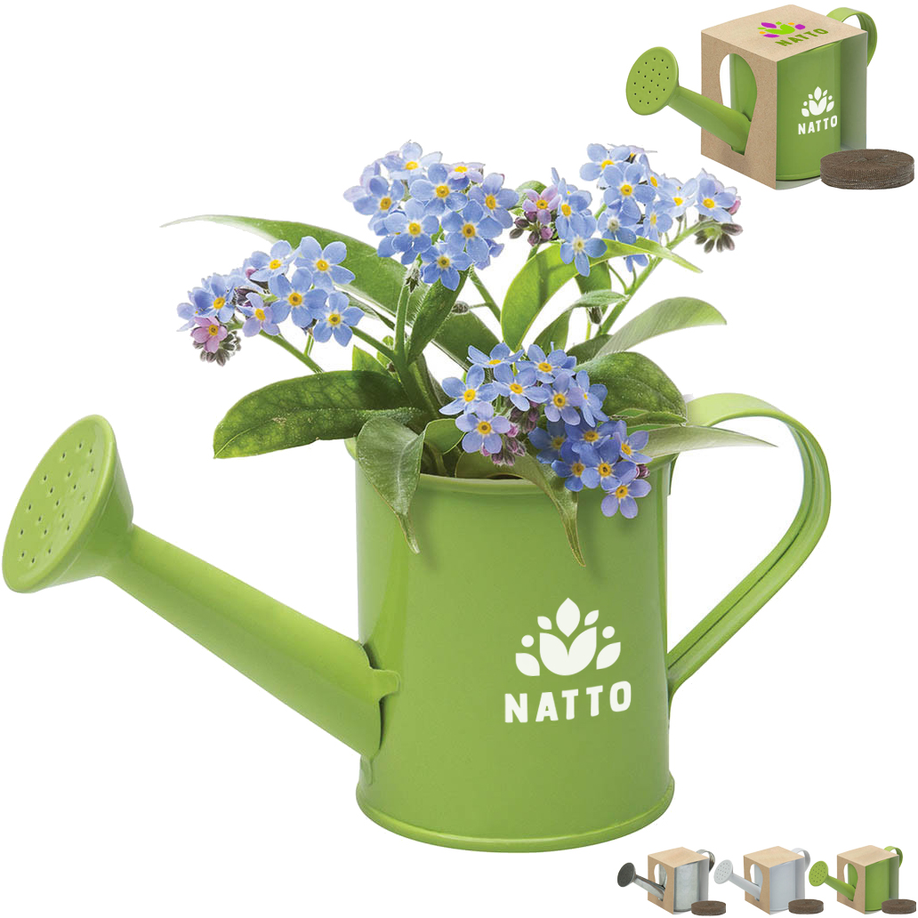 Product Photo 1 Mini Watering Can Blossom Kit