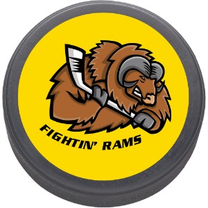 Hockey Puck, 3" - LL2725