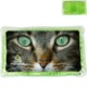 Cat Eyes Rectangle Large Aqua Pearls™ Hot & Cold Pack