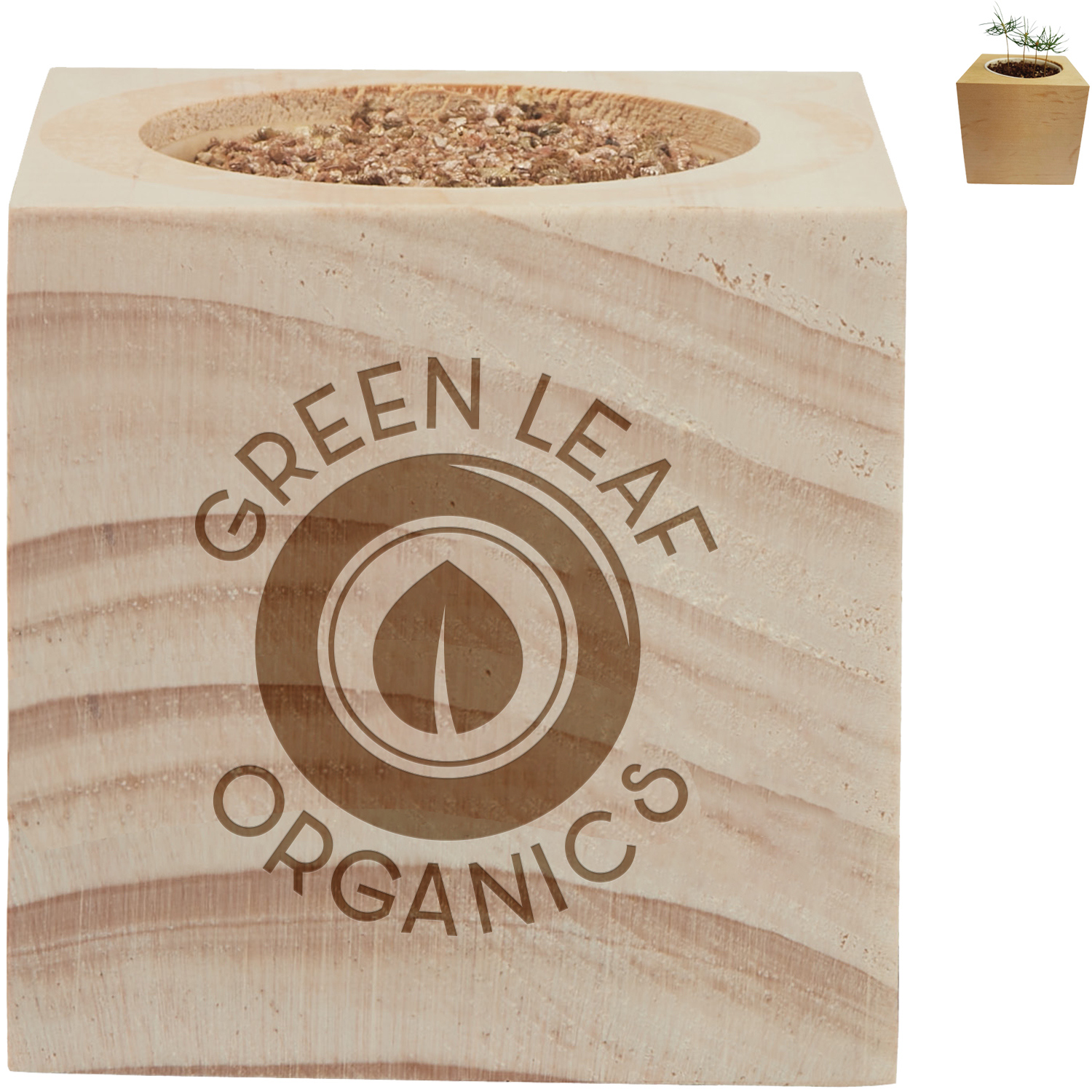 Product Photo 1 Sprigbox Christmas Tree Grow Kit