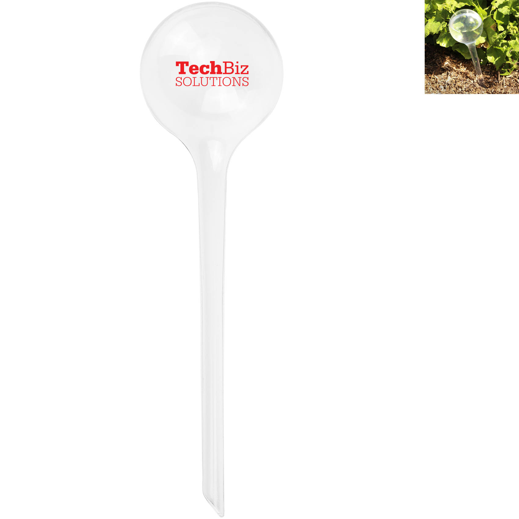 Product Photo 1 Evergreen Self-Watering Globe