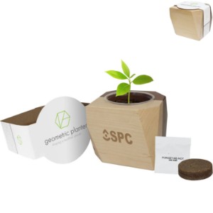 Geometric Maple & Walnut Wooden Planter Kit - FD1045