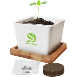 Ceramic Two-Piece Planter Kit - FD1047
