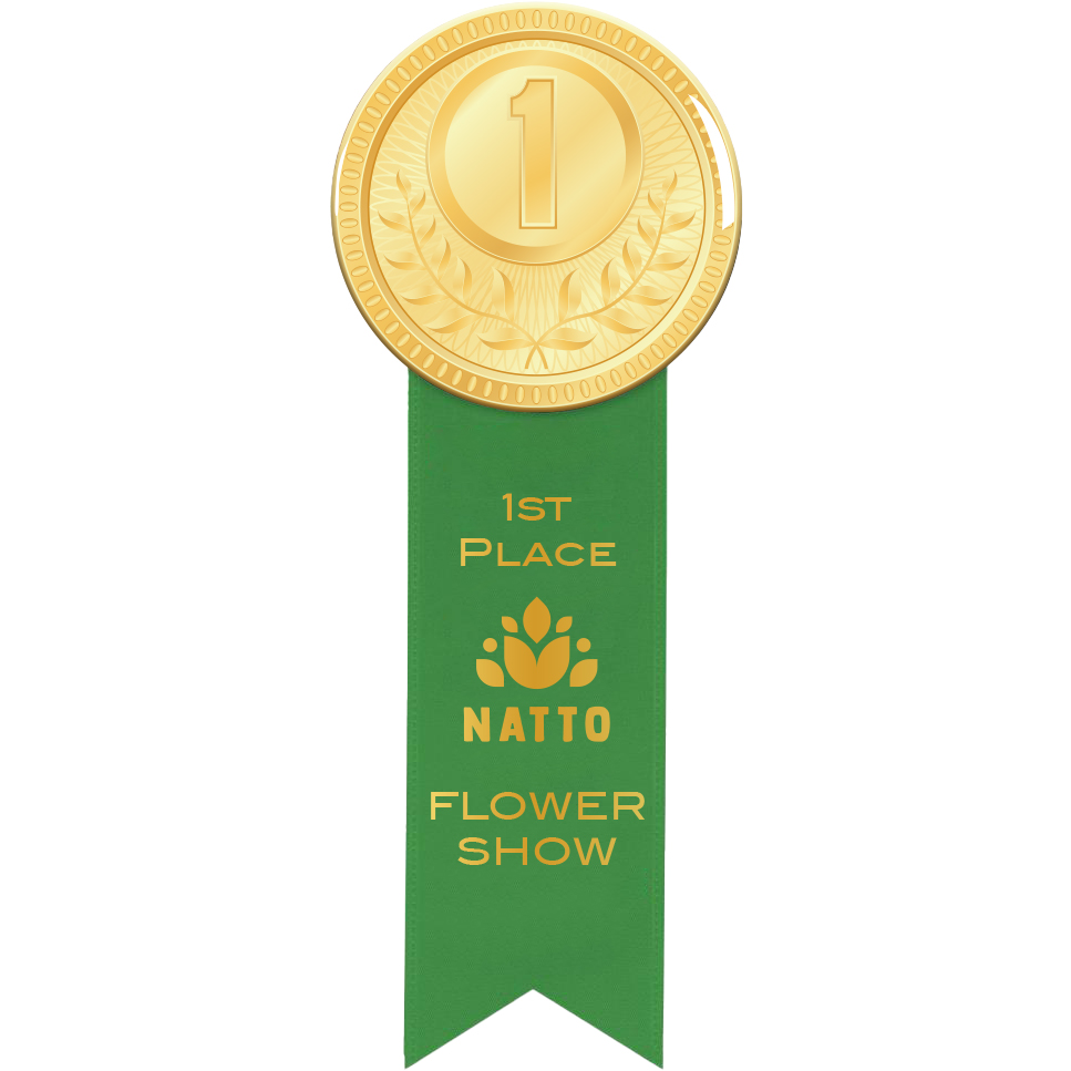 Product Photo 1 Round Button 3" with Ribbon, 2" x 6"