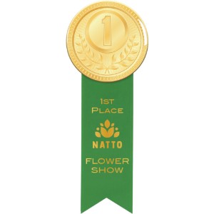 Round Button 3" with Ribbon, 2" x 6" - LL2803