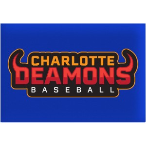 Rectangle Matte Button, 2.5" x 3.5" - LL2818