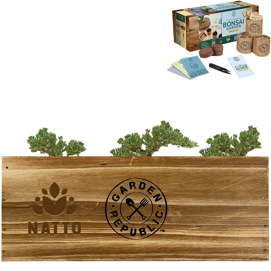Product Photo 1 Garden Republic™ Bonsai Tree Starter Kit