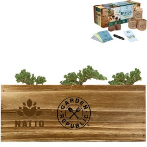 Garden Republic™ Bonsai Tree Starter Kit - HG1226