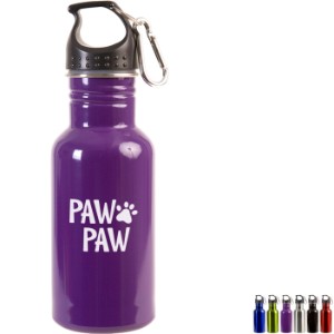 Stainless Steel Adventure Water Bottle With Carabiner, 17 oz. - PM8977