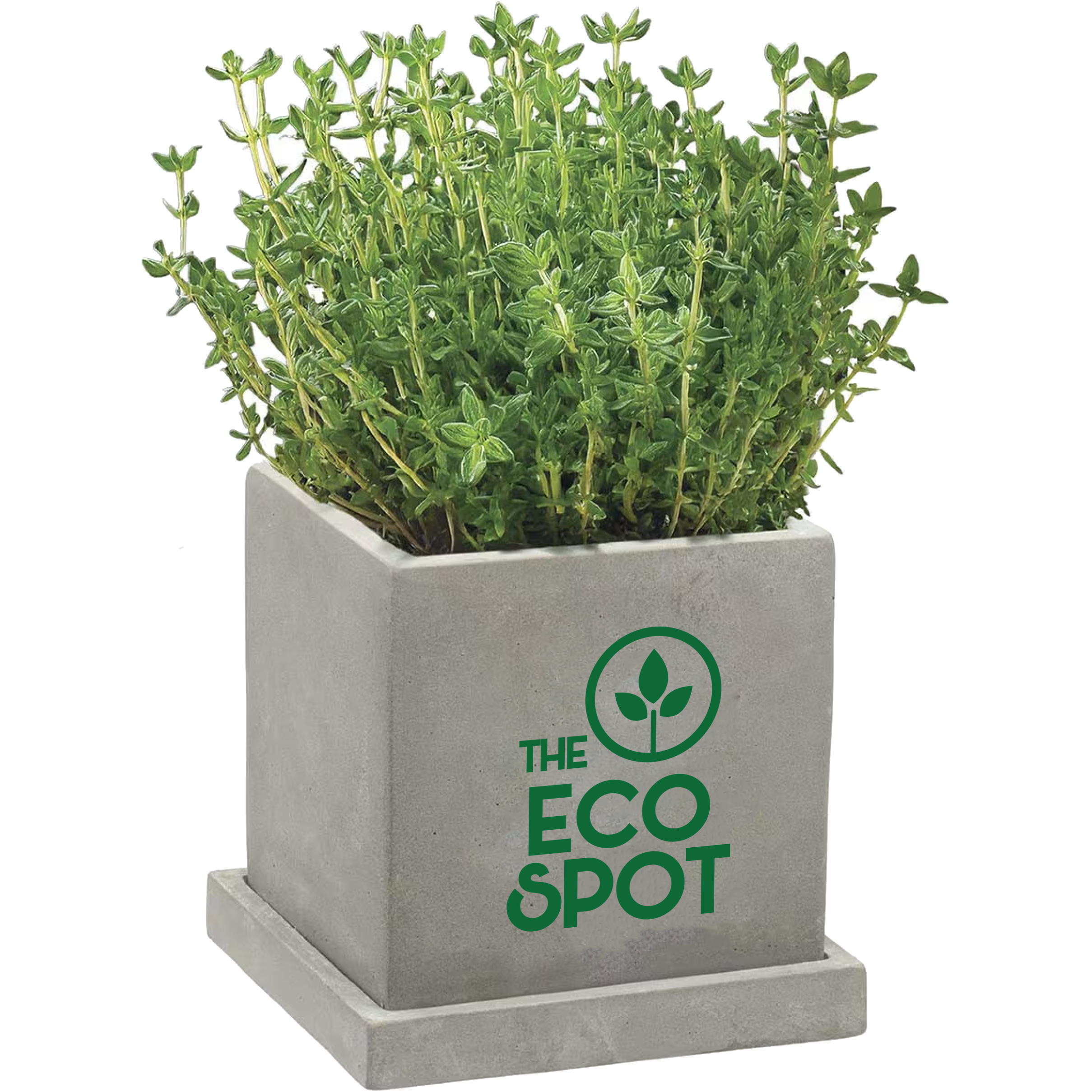 Product Photo 1 Stone Blossom Planter Kit