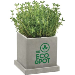 Stone Blossom Planter Kit - IL1039