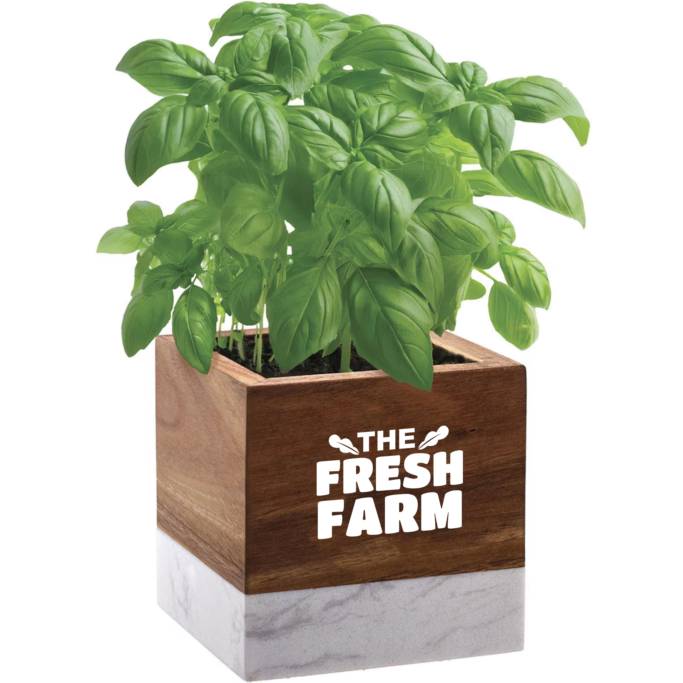 Product Photo 1 Acacia Wood & Marble Blossom Kit