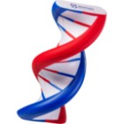 Photo 36 DNA Shaped Stress Reliever