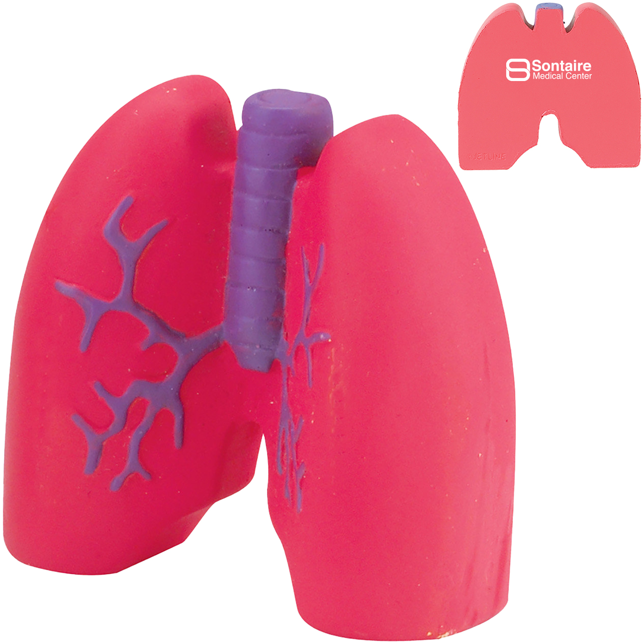Product Photo 1 Lungs Shape Stress Reliever