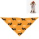 Medium Dog Bandana