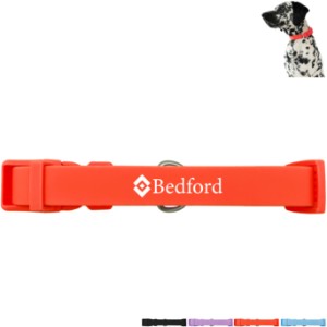 Springer Medium Dog Collar - GX6144