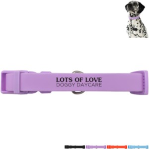 Springer Large Dog Collar - GX6145