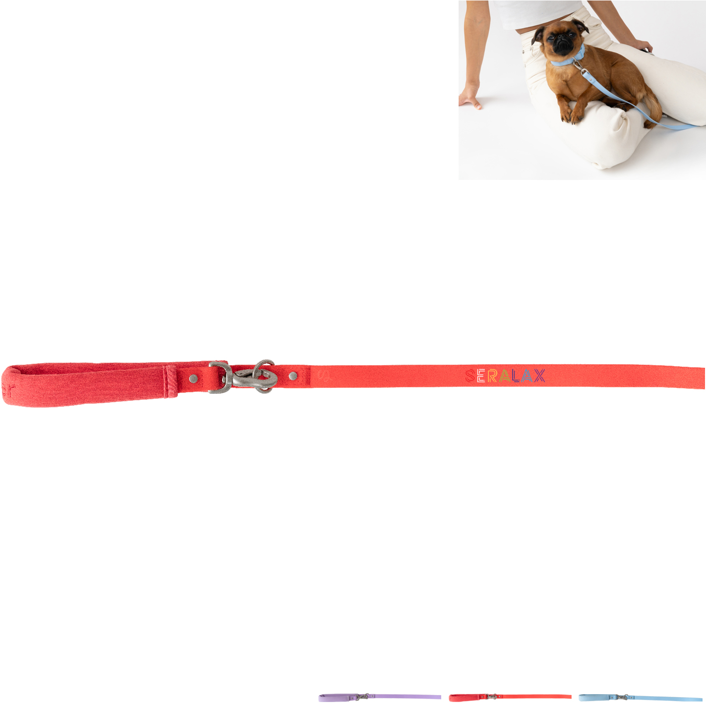 Product Photo 1 Springer Small Dog Leash, 4Ft.