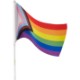 B.Free Rainbow Pride Handheld Flag