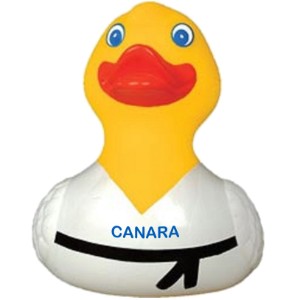 Karate Rubber Duck - AN1590